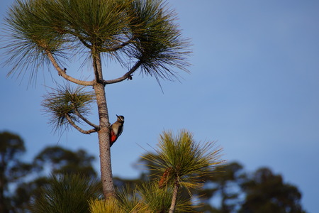 Natureの写真素材