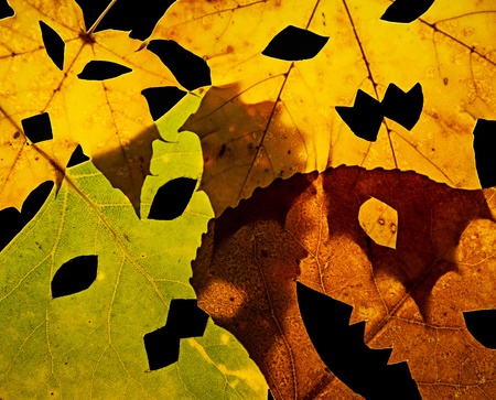 Four Jack-O-Lantern cut out leaves fill the frame and overlap on a black background