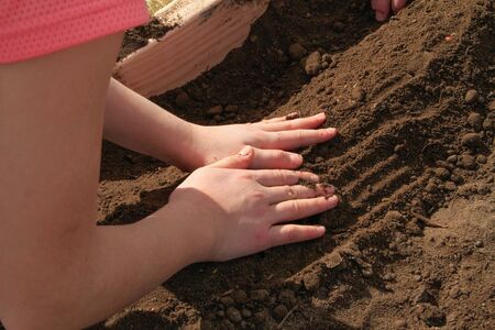 A child works dirt with bare hands for gardening project.の写真素材