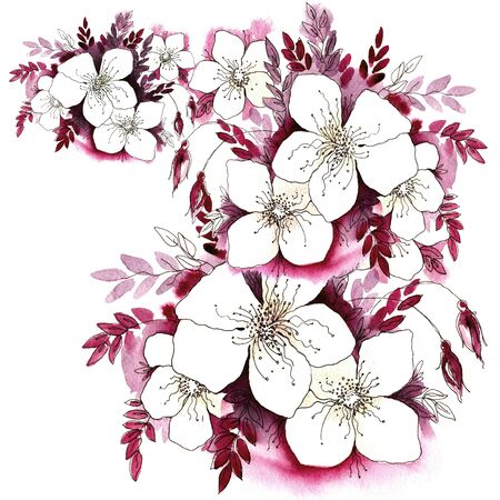 Watercolor flowers in a classical style on a white backgroundの写真素材