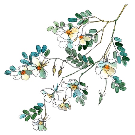 Watercolor flowers in a classical style on a white backgroundの写真素材