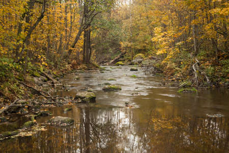 River floating through a colorful autumn forestの写真素材