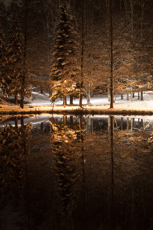 Winter by a pond in a parkの写真素材