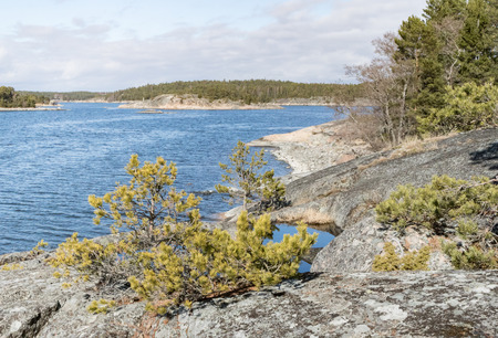 Archipelago landscape up northの写真素材