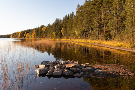 Autumn colours by lakeside shoreの写真素材
