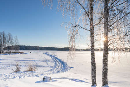 Sunny winter landscape by an icy and snowy lakeの写真素材