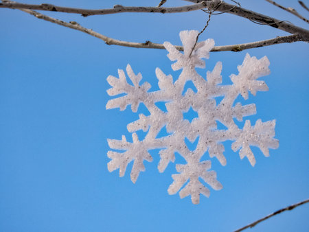 Snowflake hang on treeの写真素材