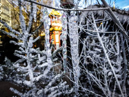 Winter Iceの写真素材