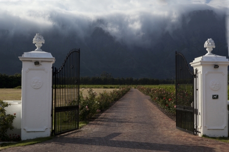 gates with pillars and road leading to rose garden and mountainの写真素材