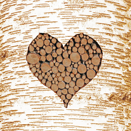  Birch tree bark with heart shaped cutout, filled with wooden logs の写真素材