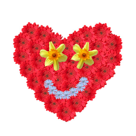 Flower heart made of cutout red gerbera daisies, smiling face with corn flowers and narcissus, isolated on white backgroundの写真素材