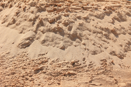Sandy beach at desertの写真素材