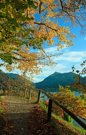 hiking trail in golden autumnal landscape, lake schliersee, upper bavariaの写真素材