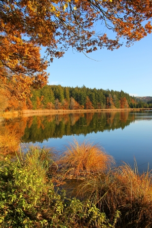 Beautiful moor lake in autumnal colors, bavarian landscape の写真素材