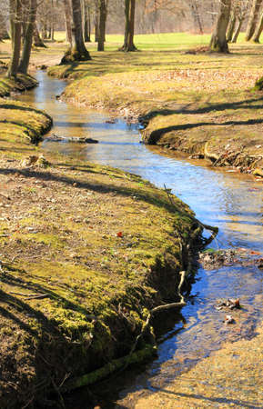 Little winding creek in the park の写真素材