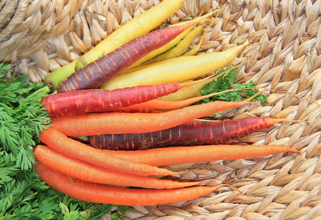 Bunch of carrots, tricolor, on a wicker basket の写真素材