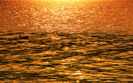 Rippled water background sunset moodの写真素材