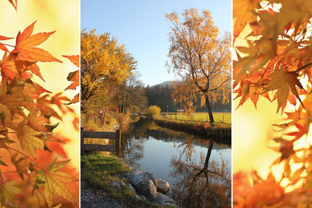 Triple - tranquil brook and autumnal japanese maple leavesの写真素材
