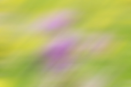 soft pastel in yellow, green and purple colorsの写真素材