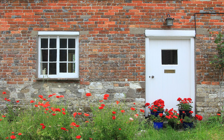 rustic house front with red poppy flowers and geraniumsの写真素材