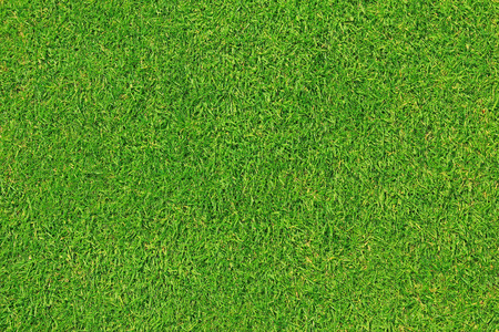 mowed grassland, typical english lawnの写真素材