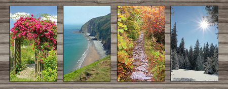 Collage - four seasons on wooden board background. rambler rose arch, coastal landscape, alpine...