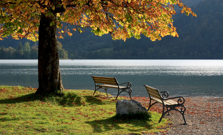 place to relax - two benches at schliersee lake shore, autumnal chestnut treeの写真素材