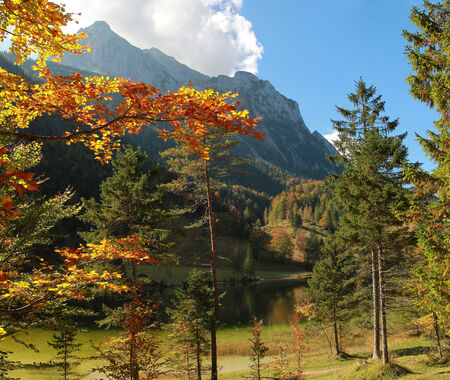 autumnal landscape with colorful beech leaves and view to ferchensee, germanyの写真素材