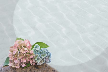 hydrangea blossoms and wavy water background, sympathy designの写真素材