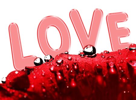 red rose with dew drops and love message on white backgroundの写真素材