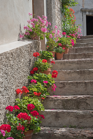 old stone staircase with geranium flowerpotsの写真素材