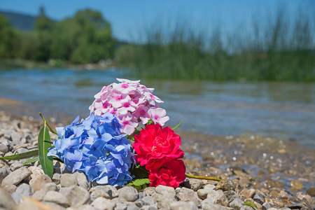 three blossoms at the stony beach - hydrangea, rose and phlox. Selective focus.の写真素材