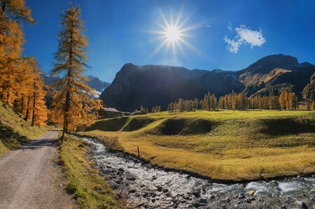 hiking route through autumnal sertig valley with colorful larch trees and bright sun, prattigau...