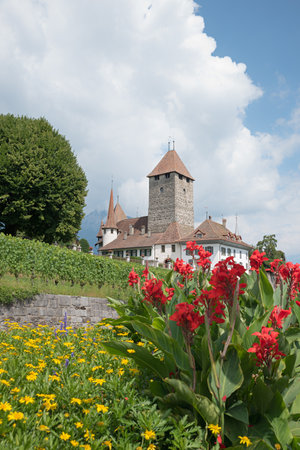 pictorial medieval castle at spiez town, tourist landmark at the bernese oberland. Framed with colorful flowers, vertical formatのeditorial素材