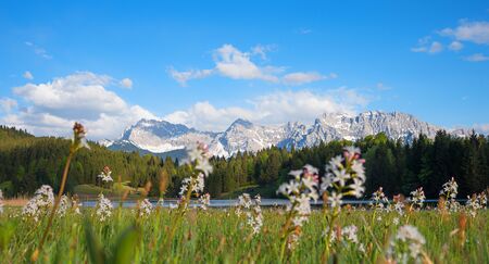beautiful karwendel mountains, lake Geroldsee and forest, rarely bogbean flowers in the front. german spring landscape.の写真素材