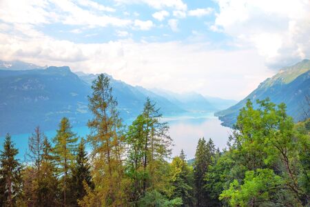 view to lake Brienzersee, trees in the front, cloudy sky. tourist area switzerland in autumn.の写真素材