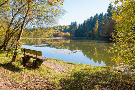 tranquil lake with wooden bench at the shore, autumnal landscape upper bavariaの写真素材