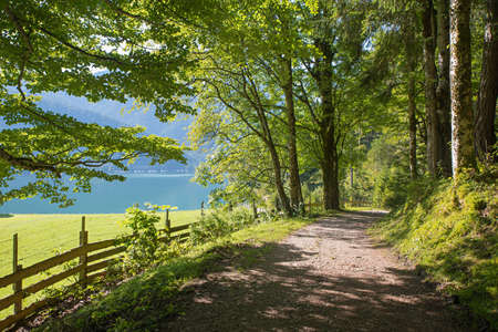 idyllic walkway along lake Achensee, austrian landscape with green spring foliageの写真素材