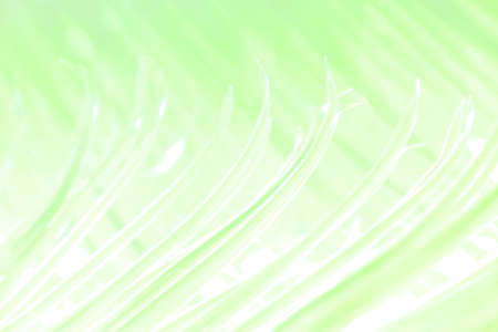 abstract light green and white background with plant structure