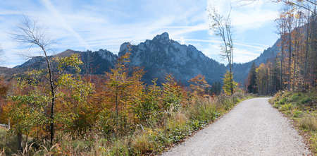 Autumnal walkway to lake Laudachsee, hiking trail Grunberg mountain, austrian alps Gmundenの写真素材