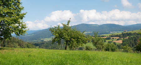 rural landscape Bayerischer Wald, green pasture and apple orchard, lower bavaria near Viechtachの写真素材