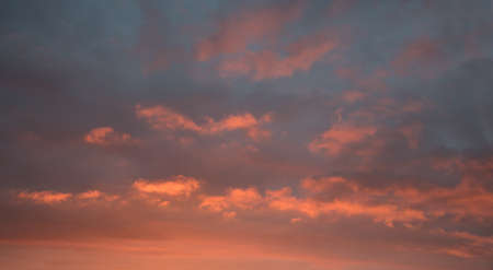 Sunset scenery, gray sky with pink lighted cumulus cloudsの写真素材