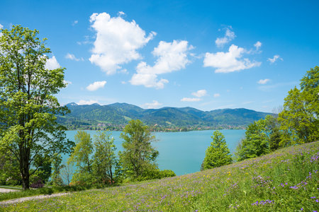 Pictorial spring landscape Leeberg hill, view to turquoise lake Tegernsee, Bavarian tourist resort in Mayの写真素材