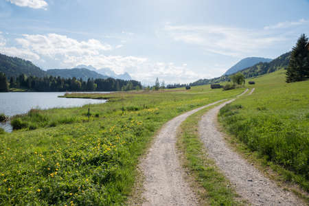 hiking route along lake Gerold, upper bavaria in spring. Meadow with trollius flowersの写真素材