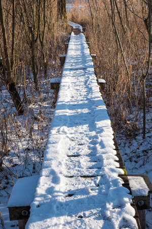 wooden boardwalk with snow and tracksの写真素材