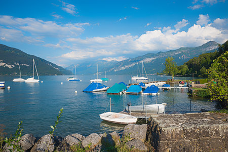lake Thunersee with sailboats, summer landscape, Bernese Oberland. view to Niederhorn mountain. lake shore Faulenseeの写真素材
