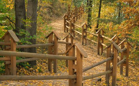 A forest road with wooden balustrades on a beautiful autumn day. Bad Muskau Park, Saxony, Germany.の写真素材