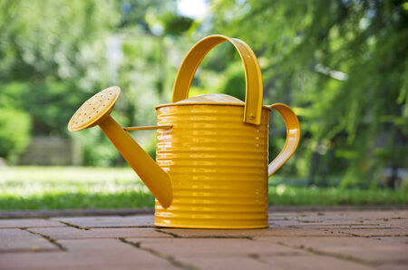 Orange watering can in the gardenの写真素材