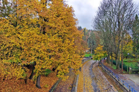 Autumn park  by the stream in Krynica, Polandの写真素材