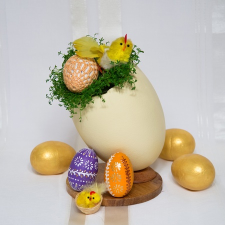 Color Easter Eggs with chckens and cuckooflowerの写真素材